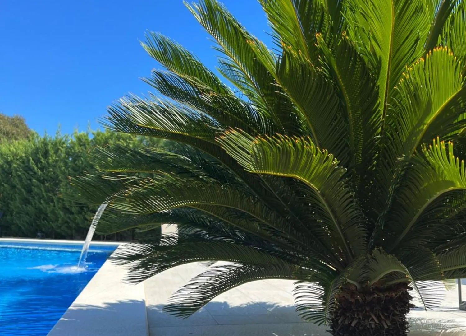Holiday Luxury Resort Sundance Trogir Villa